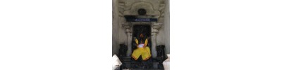 215. திருநெல்வாயில் அரத்துறை